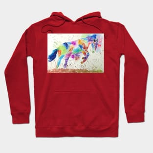 Colourful Leaping Horse Hoodie